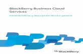 BlackBerry Business Cloud Services · cuentas de usuario, asignar grupos a cuentas de usuario y aplicar políticas de TI a cuentas de usuario. Puede acceder a la interfaz de administración