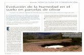 Evolución de la humedad en el suelo en parcelas de olivar · Evolución de la humedad en el suelo en parcelas de olivar EI empleo de cubiertas vegetales se presenta como un método