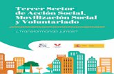 Tercer Sector de Acción Social, Movilización Social y ... · 8 Tercer Sector de Acción Social, Movilización Social y Voluntariado y, el segundo, el modelo de las ONG como grupos