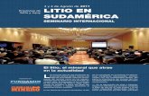3 y 4 de Agosto de 2011 Provincias de LITIO EN Salta y ... · LITIO EN SUDAMÉRICA SEMINARIO INTERNACIONAL 3 y 4 de Agosto de 2011 Losavancesquesehanproducidoen elusodelmineraldelitio,marcanuna