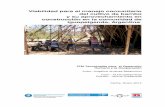 Viabilidad para el manejo comunitario del cultivo de bambú ...upcommons.upc.edu/bitstream/handle/2099.1/20907/Jiménez Betancourt.pdfEJEMPLO DE GESTIÓN DEL CULTIVO DE BAMBU (HBPB).....