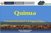 Quinua - ALADI · Los granos andinos, principalmente la quinua, por su elevado poder nutritivo, pueden contribuir al logro de la seguridad alimentaria, para lo que es conveniente