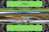 ruta en la naturaleza - Allyouneedinmurcia PDF... · Meandros de Rambla Salada dando fe de la inmensa singularidad del paisaje árido La belleza se presenta ante nosotros vestida