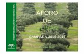 U O AFORO DE OLIVARpertenecen a la provincia de Jaén (39%). En la campaña 2015-2016 se estima que se registren 15,6715,67 millones de jornales en labores asociadas al olivar de almazara.