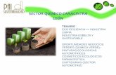 SECTOR QUIMICO CANACINTRA LEÓN · 2017-04-17 · sector quimico canacintra leÓn temario eco eficiencia => industria limpia industria esbelta y sustentable oportunidades negocios