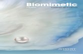 Biomimetic - Avinent · 4 5 Cuello pulido Espira progresiva y asimétrica de doble paso Microespira cervical Fresados autorroscantes Un miniimplante único y resistente El sistema