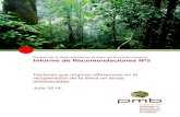 Factores que originan diferencias en la recuperación de la selva … · 2019-12-12 · Informe de Recomendaciones Nº2 . ... identificaron diferencias en la recuperación de la selva