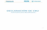 DECLARACIÓN DE CBU€¦ · 3 1. Introducción El servicio de Declaración CBU es la única vía habilitada para solicitar la acreditación de pagos en cuenta bancaria a través de