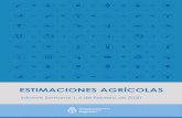 ESTIMACIONES AGRÍCOLAS...7 ESTIMACIONES AGRÍCOLAS Informe Semanal 6 de Febrero de 2020 Córdoba El cultivo implantado en la provincia presenta un aspecto general que desde muy bueno
