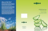 ¿Que es el Aloe Vera? - Essensstatic.essensworld.com/public/aloe-vera-catalogue_es.pdf · 99,5% El gel para beber Aloe vera contribuye al bienestar físico en general ¿Que es el