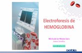 Electroforesis de HEMOGLOBINA · - Antes de iniciar una nueva serie de muestras (configurado anteriormente en técnica Hb) • 2 análisis - Cambio del vial o lote de tampón - Cambio