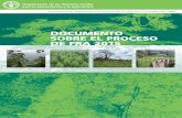 Documento sobre el proceso de FRA 2015EUROPE), la CEPE y el Observatorio de los Bosques de África Central (OFAC), en cooperación con los países del Proceso de Montreal. En el CFRQ,