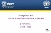 Programa de Becas Posdoctorales en la UNAMPrimer Taller informativo para miembros de la Red de articulación DGAPA –entidades académicasAgosto 2017 Programa de Becas Posdoctorales