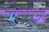 ANGLARES DE PANAMÁ...del libro Manglares de Panamá: Importancia, mejores prácticas y regulaciones vi-gentes. Los beneficios que obtenemos de los manglares sin pagar por estos y