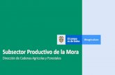 Subsector Productivo de la Mora Cifr… · Subsector Productivo de la Mora Ministerio de Agricultura y Desarrollo Rural Cifras del Subsector • Entre 2014 y 2018 el Área Sembrada