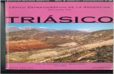 geologica.org.ar · SSE Co. El Plata 6100m Co. Las Cabras 2139 m CT CT NNW Co.Bayo 1878 m CT Portada: Afloramientos triásicos en la localidad de Potrerillos, Mendoza. La foto muestra
