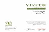 Catálogo visual - Proyecto Mixteca Sustentable ACproyectomixtecasustentableac.org/.../Suculentas-SPNopala.pdf · 2019-08-28 · pueden encontrar cactus, garabato, cazahuates, zapotes,