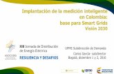 Implantación de la medición inteligente en Colombia: base ... I/UPME... · 1 X Elster 2 X Schneider Electric 2 X Huawei 3 X INPEL - Circutor 4 X Commercial Metering Landist Gyr
