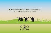 Derecho humano al desarrollo - CNDHappweb.cndh.org.mx/biblioteca/archivos/pdfs/DH-Desarrollo.pdf · desarrollo de las personas, pues ambos son directamente conducentes al bienestar
