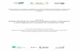 Informe 2 Análisis detallado de sistemas productivos ... · Climático, Agricultura y Seguridad Alimentaria (CCAFS), el Centro Internacional de Agricultura Tropical (CIAT) y el Centro