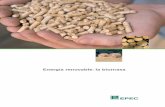 Energía renovable: la biomasaenergia-renovable.yolasite.com/resources/energia-energia... · 2013-12-18 · Energía renovable: la biomasa. Cosechando energía de la biomasa 2 Conceptos