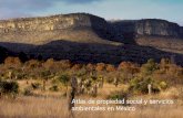 Atlas de propiedad social y servicios ambientales en México · 2014-10-15 · el Registro Agrario Nacional (RAN) y el IICA, presenta cifras que destacan la importancia de la propiedad