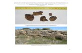Fragmentos de hierro encontrados en Ciquilines IV...Informe de la prospección arqueológica y delimitación de yacimientos del Término Municipal de Monflorite- Lascasas (Huesca)