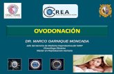 DR. MARCO GARNIQUE MONCADAmarcogarnique.com/ponencias/ovodonacion.pdf · 2016-12-13 · •Padilla SL: Estudio efectuado a 512ptes (1101 ciclos de FIV/TE) demostró un aumento significativo