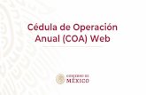 Cédula de Operación Anual (COA) Web€¦ · “A cualquier directivo le gustaría tener toda su empresa desglosada en números, porque sabe que si no se mide, no tendrá argumentos