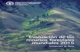 Evaluación de los recursos forestales mundiales 2015 · esenciales y por lo tanto, juegan un papel determinante en el ámbito del desarrollo sostenible. Es pues, crucial disponer