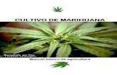 Manual Basico de cultivo de marihuana€¦ · Cultivo de marihuana 1 Al Cesar lo que es del Cesar Todo lo que vais a leer de aquí en adelante no lo he escrito yo, ni una palabra,