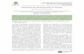Síndromes de domesticación en plantas - CICY.mx · 2017-05-03 · tico de la planta silvestre progenitora a su forma domesticada (P ickersgill, 2007). Entre los síndromes de domesticación