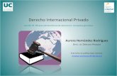 Derecho Internacional Privado - unican.es...Derecho Internacional Privado Aurora Hernández Rodríguez POSIBLES SOLUCIONES SEGUNDA: ELABORAR UN CONJUNTO DE NORMAS (TERCER SECTOR DEL