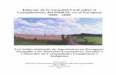 Informe de la Sociedad Civil sobre el Cumplimiento …...Informe de la Sociedad Civil sobre el Cumplimiento del PIDESC en el Paraguay 2000 - 2006 Uso Indiscriminado de Agrotóxicos