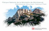 Parque Natural de la Montaña de Montserrat …...El Patronato de la Montaña de Montserrat es el órgano rector y gestor del Parque Natural desde la creación de la figura de protección