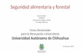Seguridad alimentaria y forestalfz.Uach.mx/noticias/2019/06/19/Seguridad alimentaria y forestal.pdf•Por sus prácticas de escoger semillas de cada cosecha para la siguiente siembra