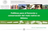Políticas para el fomento y conservación del maíz nativo ......diagnósticos de la situación actual de las razas criollas de maíz, a nivel nacional como regional con la finalidad