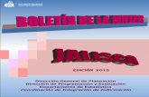 Edición 2015 - Jalisco · Sistema Automatizado de Egresos Hospitalarios (SAEH) Sistema Único de Información para la Vigilancia Epidemiológica (SUIVE) Sistema de Información sobre