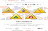 Perfil Aguascalientes 2016 - gob.mx · 2018-09-04 · PROGRAMA DE ACCIÓN ESPECÍFICO PREVENCIÓN DE ACCIDENTES EN GRUPOS VULNERABLES 2013-2018 PERFIL AGUASCALIENTES 2016 FUENTES
