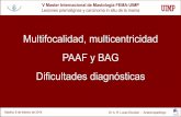 Multifocalidad, multicentricidad PAAF y BAG€¦ · Lesiones premalignas y carcinoma in situ de la mama Dr. A. R. Lucas Escobar -Madrid, 8 de febrero de 2014 Anatomopatólogo Estructura