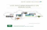 LOS BIOCARBURANTES EN ANDALUCÍA...• Biorresiduos recogidos de hogares particulares, es decir residuos biodegradables de jardines , residuos alimenticios y de cocina procedentes