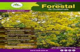 Revista Forestal de Guatemala...bosques del país, fuera del Sistema Guatemalteco de Áreas Protegidas –SIGAP-. Así mismo, se han desarrollado plataformas electrónicas, que facilitan