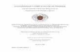 UNIVERSIDAD COMPLUTENSE DE MADRIDwebs.ucm.es/BUCM/tesis/bio/ucm-t28156.pdf · de las poblaciones de escarabajo de la patata. A mis compis de laboratorio: Manolo González, que me