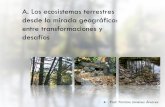 A. Los ecosistemas terrestres desde la mirada geográfica ... · ECOSISTEMAS DE PÁRAMO •3000 msnm y temperaturas entre los 2 y 29ºC., con variaciones en el día. •Organismos