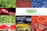 Productos ecológicos y naturales · Catálogo de productos Zumos, néctares, mermeladas, gazpachos e infusiones Productos ecológicos y naturales . zumos naturales ecológicos. EcoSana