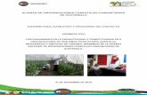 ALIANZA DE ORGANIZACIONES FORESTALES COMUNITARIAS DE …asorech.org.gt/images/pdfs/proyectos/ejecutados/ICCO... · 2018-12-03 · Objetivo General: Fortalecer la capacidad productiva