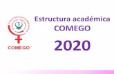 Estructura académica COMEGO 2020comego.org.mx/regional/Regional_25/carpeta...• Delimitación del área de 3x3 • 1 tablón y 3 sillas • 1 contacto eléctrico 110 v. Notas: •