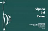 Alpaca del Perú - Central Reserve Bank of Peru · presenten colecciones en fibra de alpaca y la presenten en las principales pasarelas de Moda en Europa y EEUU. • Convocar a la