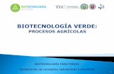 Clasificación para las aplicaciones biotecnológicas en los ...biotecnologia.biologia.ucr.ac.cr/wp-content/... · Tomates con alto contenido de antocianinas 21. 22 Silenciamiento