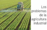 Los problemas de la agricultura - Ecologistas en …...agricultura industrial ha reducido un 60% la capacidad de producir alimentos Scientific American cita un informe de la ONU que